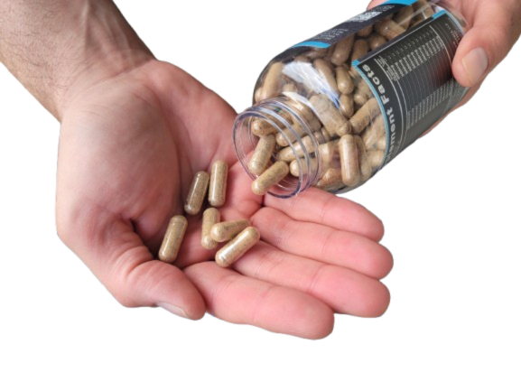 Angel of Independence - 13 ORGANS - New Zealand Grass Fed/Finished Beef Organ Supplement